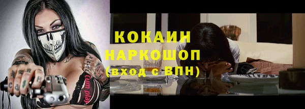 прущие грибы Верея
