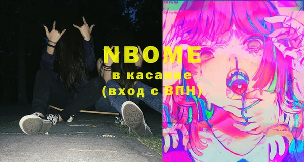 прущие грибы Верея