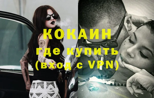 прущие грибы Верея