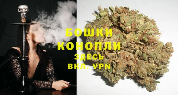 дурь Бронницы