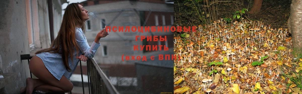 хмурый Верхний Тагил
