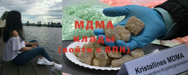прущие грибы Верея