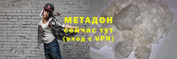 прущие грибы Верея