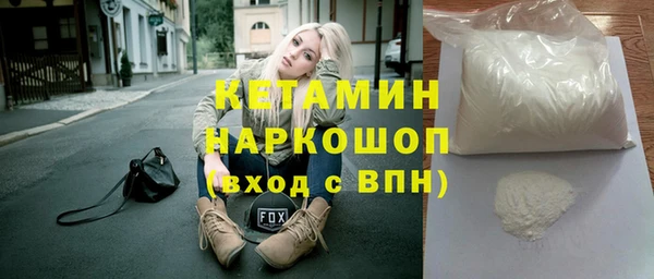 прущие грибы Верея
